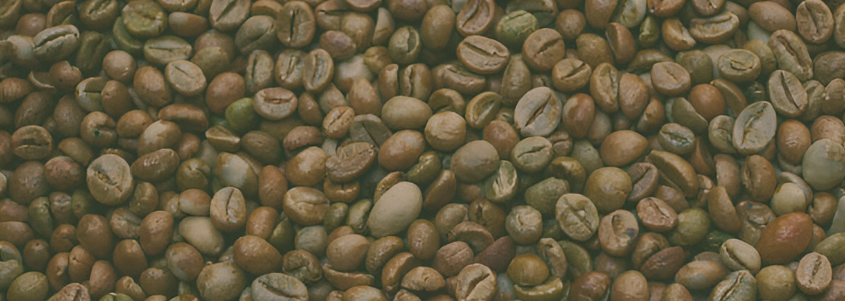 Robusta cherry coffee