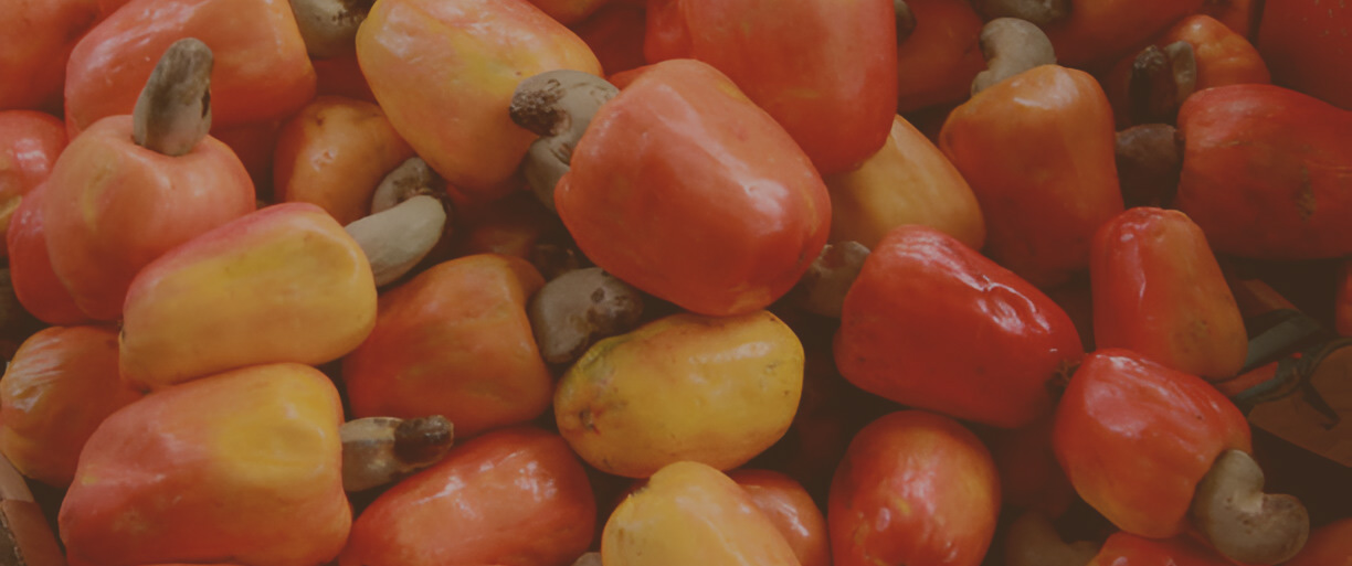 Cashew